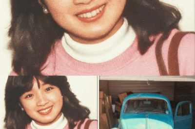 s – College Student Vanished in 1995 – 11 Years Later Her Car Appears in a Storage Auction