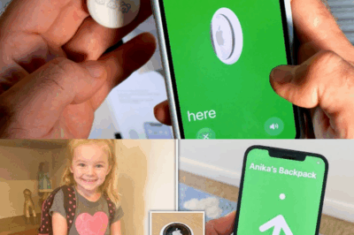 s – Girl Vanished at Kindergarten – One Year Later, Mom Gets an Apple Tag Signal Under the Floor…