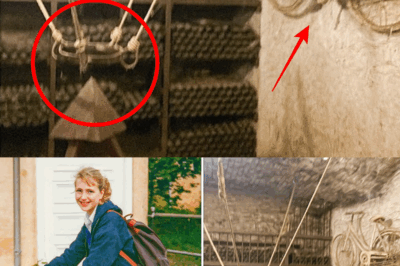 s – Student Vanished on Ride to School in 1988 – 14 Years Later, a Wine Cellar Reveals the Truth