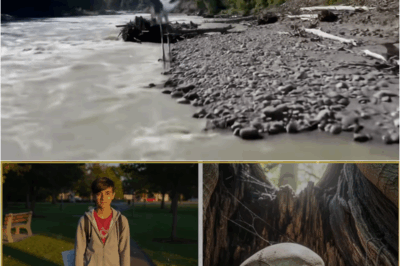 S – Teen Disappeared on Solo Hike – Three Years Later, They Found His Skull…