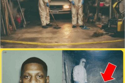 S – He Was Jailed for His Wife’s Disappearance — His Wife Was Later Found in the Neighbor’s Basement