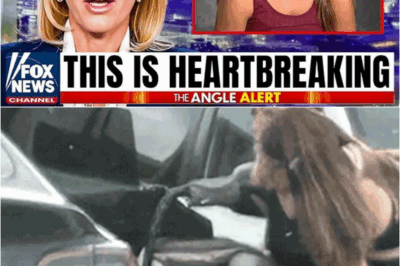 S – Conjoined Twins Abby and Brittany Hensel Are Saying Goodbye After Their Tragic News