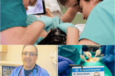 S – The Surgeon Who Vanished in 2012 – Five Years Later, His ID Is Found Inside a Patient…