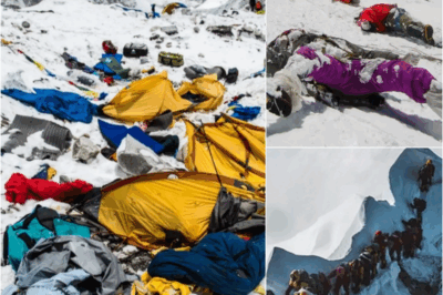 s – The Macabre Truth Behind Everest’s Romantic ‘Rainbow Valley’: Climbers Who Never Return – Souls Forever Lost on the Mountain