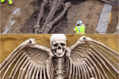 s – 20 Mysteries Buried in America: Discoveries That Rewrite History? Cultures That “Surpass” the Official Timeline?
