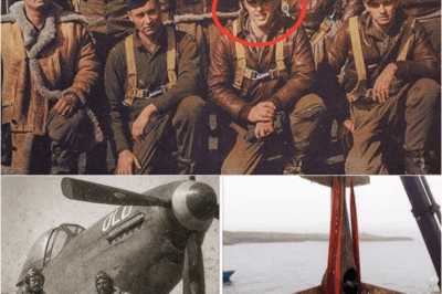 s – Pilots Vanished During a Secret Operation in WW2 — 50 Years Later, Navy Pulled This From the Ocean…