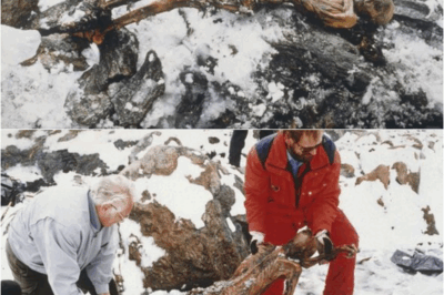 S – 3,210 meters in the Alps: 5,000-year-old “sleeping” body reveals secrets of European prehistory