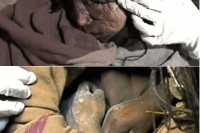S – The stunning moment group of climbers found ‘perfectly preserved’ Inca mummy in Andes
