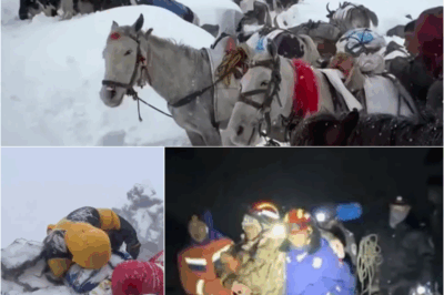 S – NIGHTMARE AT 16,000FT Fears final 200 hikers still trapped on Everest will be buried alive by snow as rescuers face race against time
