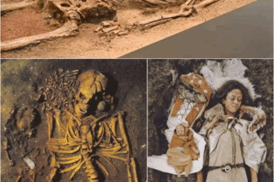 S – Vedbæk’s Mesolithic Mother and Child Burial: A Window Into Ancient Rituals