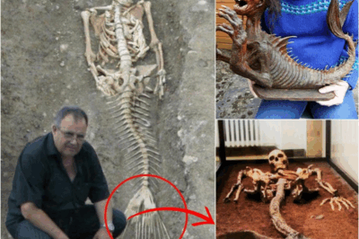 S – The Enigmatic Mermaid of England’s Shores