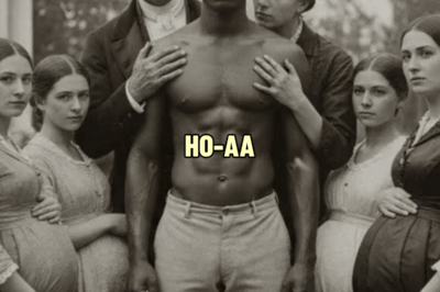 He Was Bought as a Slave But Became the Master…The Entire Thornwood Family Ended Up on Their Knees | HO