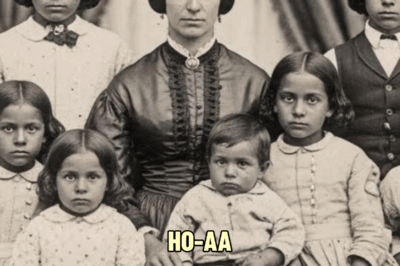 The Disturbing Secret the Plantation Mistress Hid for 15 Years— Seven Children With Her Stable Slave | HO!!!!