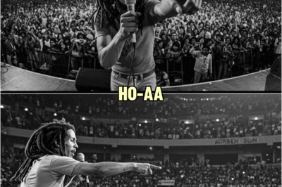 White sᴜᴘʀᴇᴍᴀᴄɪsᴛ Tried to ATTACK Bob Marley on Stage — What Bob Did Made 15,000 People CRY | HO!!!!
