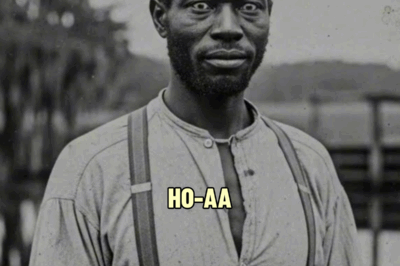 The Impossible Mystery of the Slave Who Killed 200 White Men and Was Never Caught | HO!!!!