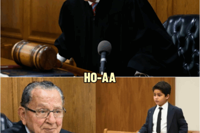 The 8 Year Old Who Defended His Mother in Court | HO!!!!