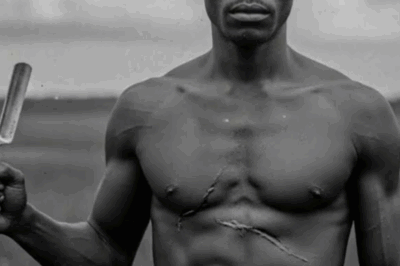 The Beaufort Secret: The Slave Who ᴄᴀsᴛʀᴀᴛᴇᴅ the Judge and His Five Sons in 1848 | HO!!