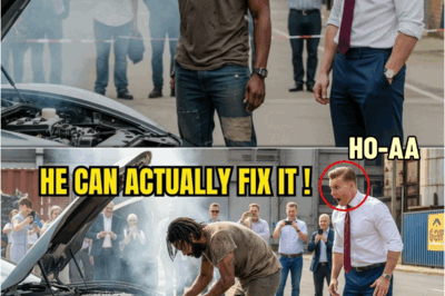 ‘I Can Fix It.’ A Homeless Man Heard a Billionaire’s Cry for Help—Then He Taught Him What He Couldn’t | HO!!