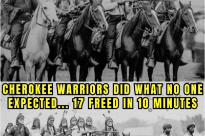 The Cherokee Warriors Who Attacked a Slave Auction and Freed Every Captive — Georgia, 1837 | HO!!