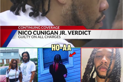 She Had Him Arrested For St@bbing Her… He Got Out & Did THIS Through Her Window | HO!!