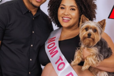 On Her Gender Reveal Party, He K!lled His Wife After She Insisted On Naming Their Daughter After Her | HO