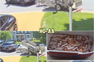 Bitter dad dumps 80,000 pennies on ex wife’s lawn, then his daughter does something unexpected | HO!!!!