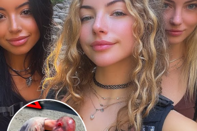 Three Vanished In The Grand Canyon — One Found A Month Later, Shaved Bald And Barely Alive | HO!!