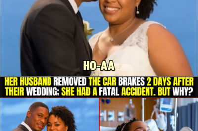 Her Husband Thinks He Got Away With It, Until She Comes Back From Dead | HO!!!!