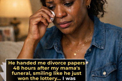 My Husband Filed for Divorce Right After I Inherited My Mom’s Fortune – He Thought He Hit the Jac… | HO