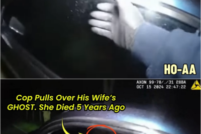 Moment Cop Pulls Over His Wife’s Ghost, Died 5 Years Ago — You Won’t Believe What Happened | HO