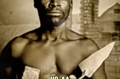 The Bricklayer of Florida — The Slave Who 𝐁𝐮𝐫𝐢𝐞𝐝 11 Overseers Without Leaving a Single Clue | HO!!!!