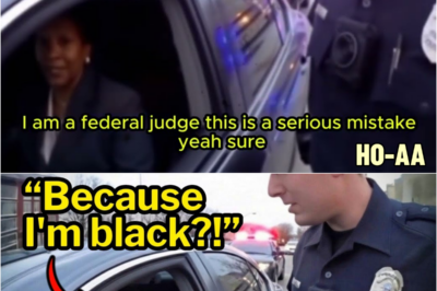 Racist Cop Arrests Black Federal Judge During Routine Traffic Stop — Jury Awards Her $830K | HO