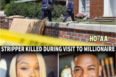 Las Vegas Stripper Arriving For A Call To A Millionaire’s Mansion Is 𝐒𝐡𝐨𝐭 𝐃𝐞𝐚𝐝 On Arrival | HO