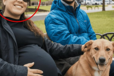 8-Month Pregnant Wife Was Found Dead At Home- Her Dog Saw Mother-InLaw & Started To Bark- Cops Finds | HO!!