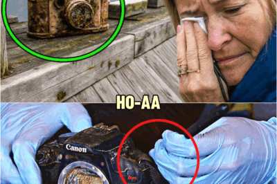 A Camera Resurfaces After Years at Sea… What This Woman Finds Inside Leaves Her Speechless | HO!!