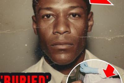 A Hospital Kept a ”Sleeping Patient” for 30 Years — A New Nurse Realized It Was a Missing Doctor | HO!!!!