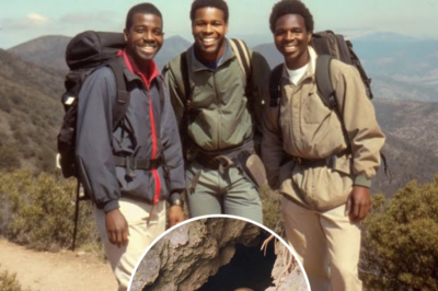 Hiker Disappeared in 1981 — 17 Years Later, One Old Item Brought the Case Back | HO!!!!