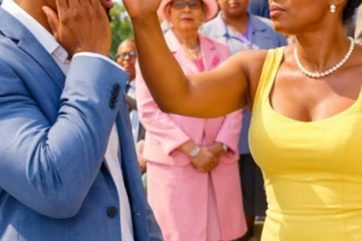 My Wife’s Mother ”Slapped” Me 5 Times in Front Of My Wife, I Didn’t React—I Quietly Sold Everything | HO