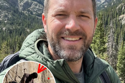 Climber Vanished in Colorado Mountains – 3 Months Later Drone Found Him Still Hanging on Cliff Edge | HO”