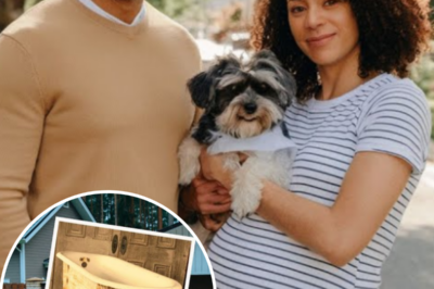 23 YRS After His Wife Vanished, A Plumber Came to Fix a Blocked Pipe, but Instead Saw Something Else | HO!!!!