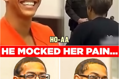 16-Year-Old 𝐑𝐚𝐩𝐢𝐬𝐭 Laughs in Court — Then the Judge Drops the Hammer! | HO