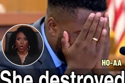 Man Sues 𝐓𝐨𝐱𝐢𝐜 𝐖𝐨𝐦𝐚𝐧 After She STOLE His DNA For Pregnancy | HO