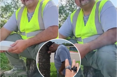 Rich man gives a luxury car to a kind hearted construction worker, his reaction made us cry 😭 | HO!!