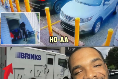 They Robbed A Brinks Truck Took 50,000$ & Almost K!lled The Driver | HO