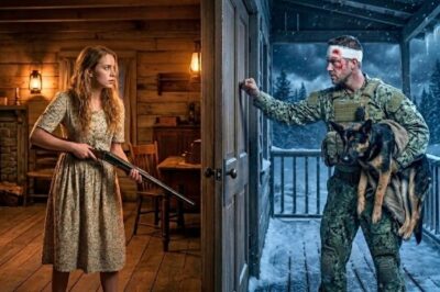 A Poor Girl Gave Shelter to a Wounded Navy SEAL and His Dog… Then He Gave Her Life Back