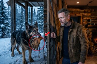 A Sick Navy SEAL Wanted to Disappear, Until a Frozen Dog Found His Door