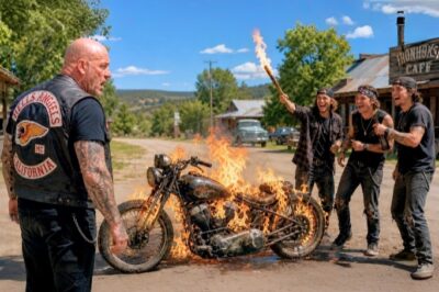 Rich Brats Burned an Old Harley — Unaware It Was a Legendary Hells Angels President’s Bike
