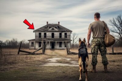 Nobody Wanted This Ruined House, Until a Navy Veteran and His Loyal Dog Found the Truth Inside
