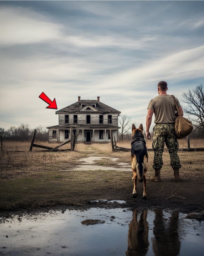 Nobody Wanted This Ruined House, Until a Navy Veteran and His Loyal Dog Found the Truth Inside
