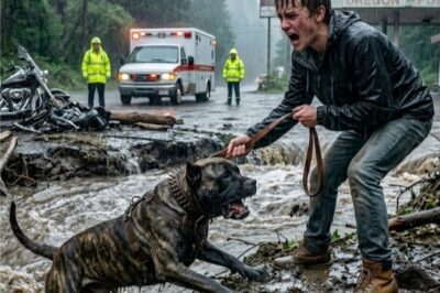 Teenager Protected a Biker’s Dog During a Brutal Storm — The Next Day, the Hells Angels _President_
